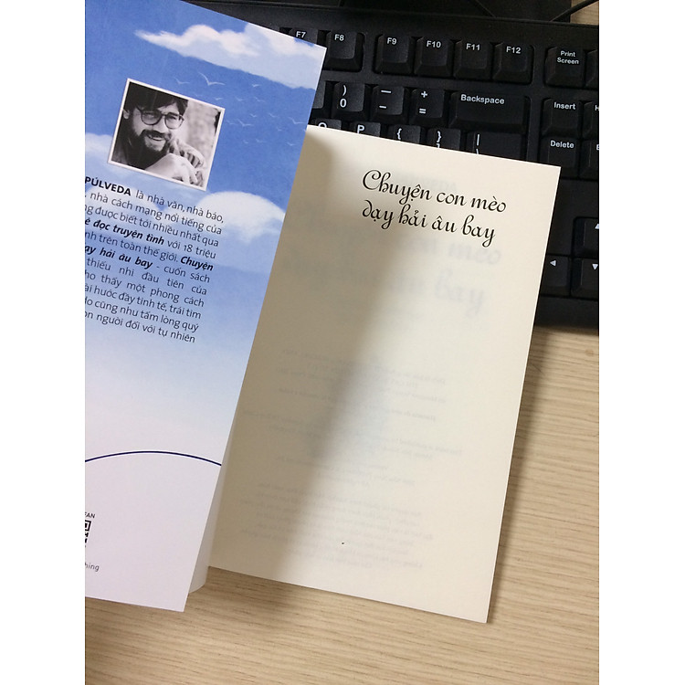 CHUYỆN CON MÈO DẠY HẢI ÂU BAY - Ảnh 3