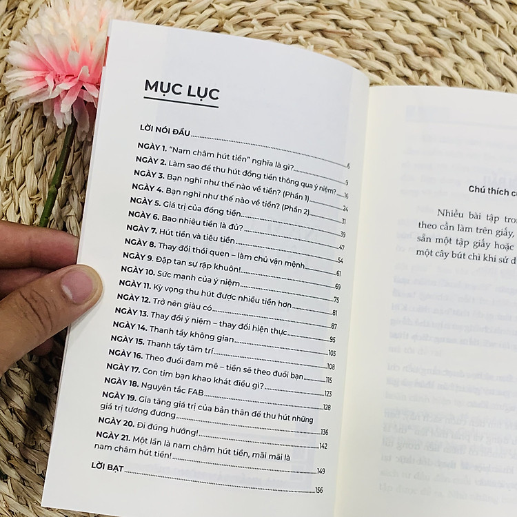 Nam Châm Tài Chính - Hành Trình 21 Ngày Thu Hút Thịnh Vượng - Ảnh 6