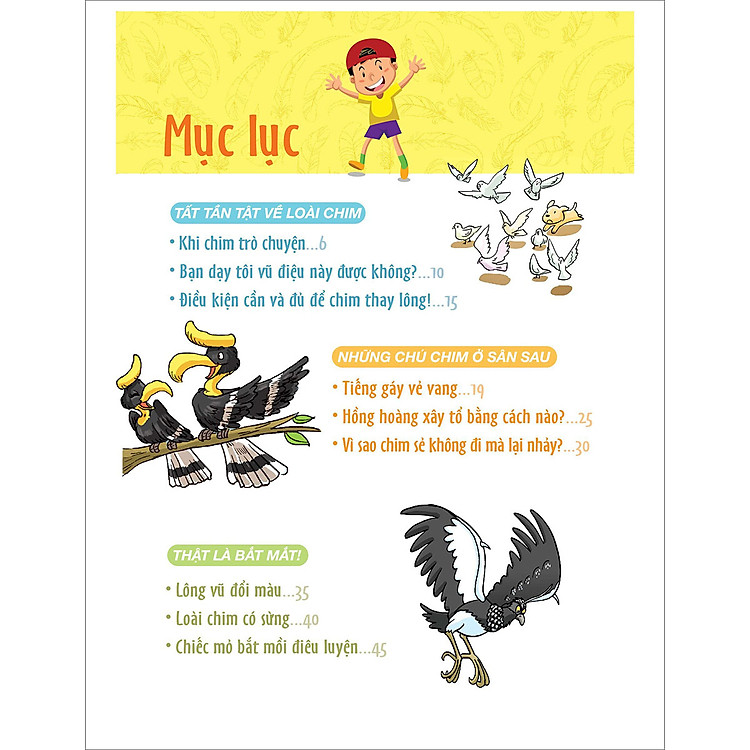 World Of Science - Những Bí Ẩn Về Loài Chim - Ảnh 6