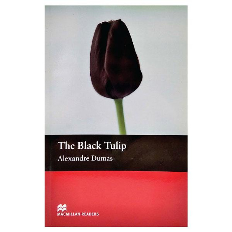 Black Tulip Beg