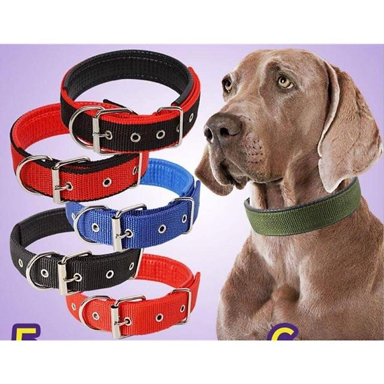 Vòng đeo cổ bằng dù cho chó lớn/Vòng Cổ Cho Chó Vải Dù Có Nệm Lót Khóa Gài Lỗ Kim Loại