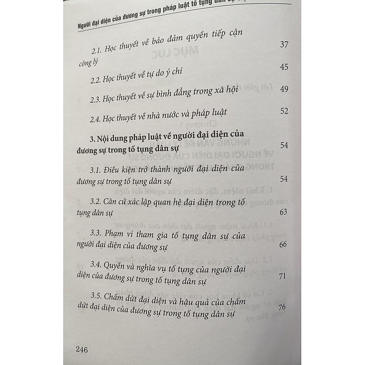 Người Đại Diện Của Dương Sự Trong Pháp Luật Tố Tụng Dân Sự Việt Nam - Ảnh 6
