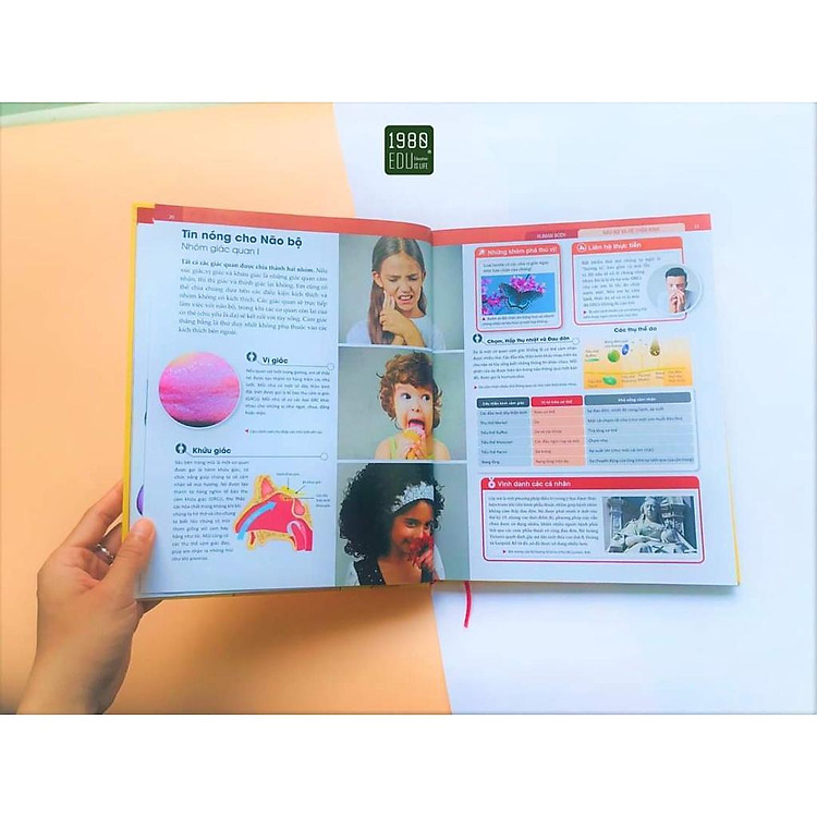 Human Body - Bách Khoa Toàn Thư Về Cơ Thể Của Chúng Ta - Ảnh 4