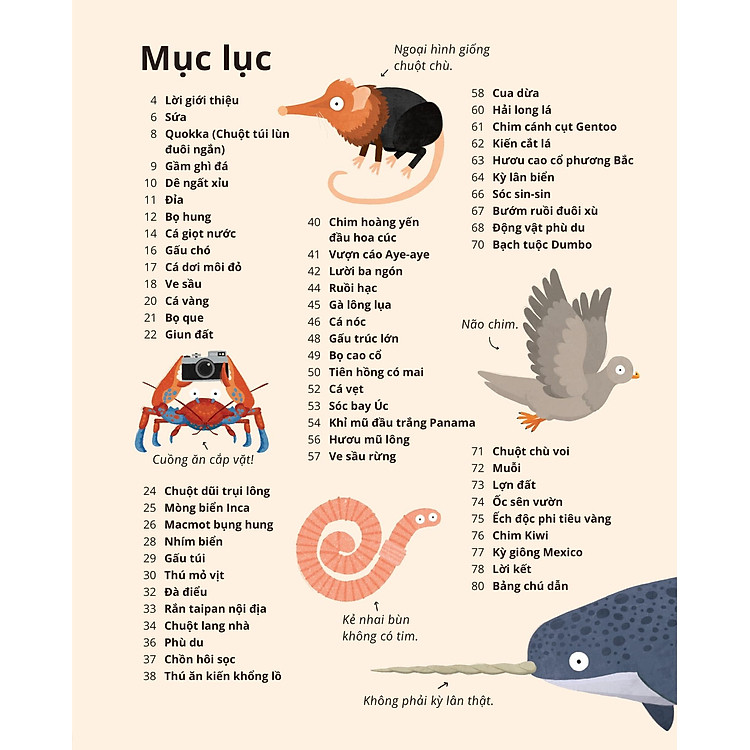 100++ Bí Ẩn Về Tự Nhiên - Những Động Vật Đáng Kinh Ngạc Vô Dụng Nhất - Ảnh 3