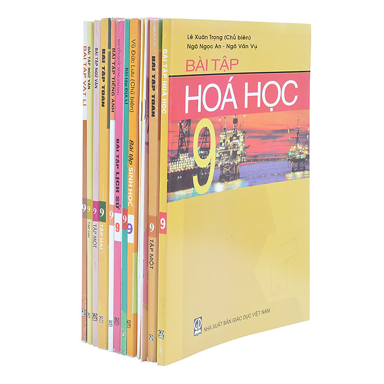 Bộ Sách Giáo Khoa Bài Tập Lớp 9 (7 Cuốn)