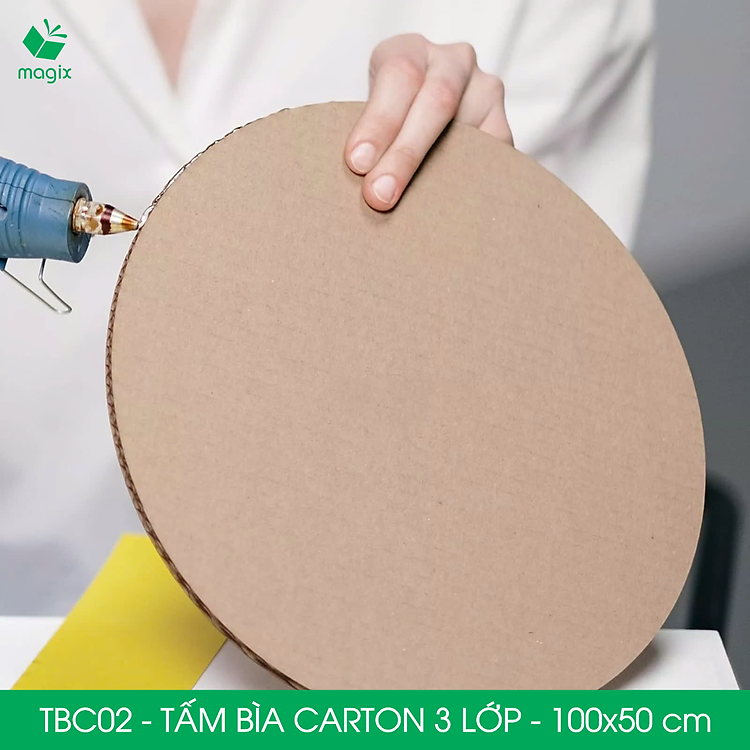 Bìa Carton 3 Lớp TBC02 (100x50 cm, 5 tấm) - Ảnh 6