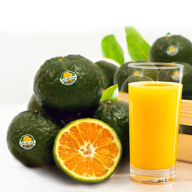 Cam Sành Vĩnh Long - Cam Vắt Nước (7-8 quả/kg) - Foodmap Fruits - Combo 5kg