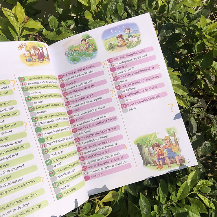 10 Vạn Câu Hỏi Vì Sao - Động Vật Biết Bay Và Thực Vật - Ảnh 5