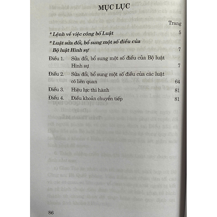 Luật Sửa Đổi, Bổ Sung Một Số Điều Của Bộ Luật Hình Sự Năm 2025 - Ảnh 3