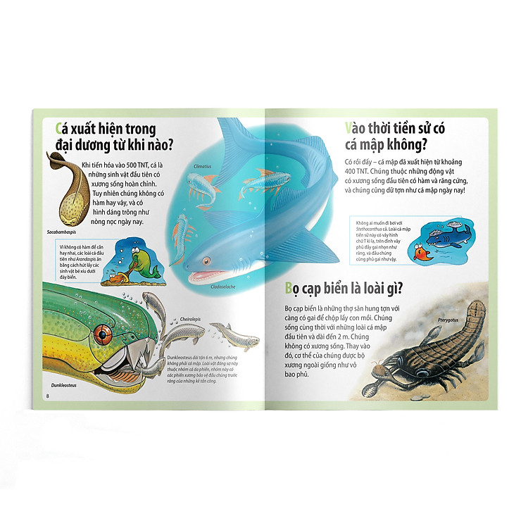 Em Muốn Biết Vì Sao - Cá Mọc Chân Và Những Câu Hỏi Khác Về Thời Tiền Sử - Ảnh 5