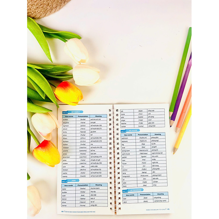 Sổ Tay Học Nhanh Toàn Diện Tiếng Anh Tiểu Học - Ảnh 6