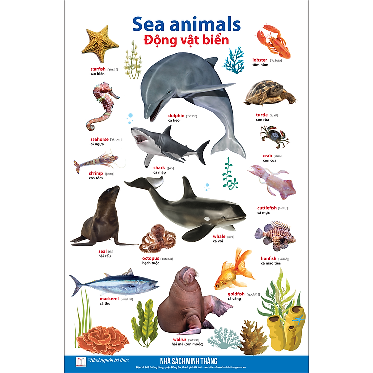 Learing English By Pictures - Học Tiếng Anh Bằng Hình Ảnh (Tập 1) - Ảnh 9