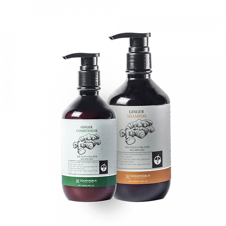 Combo Dầu gội,xả gừng - COCAYHOALA