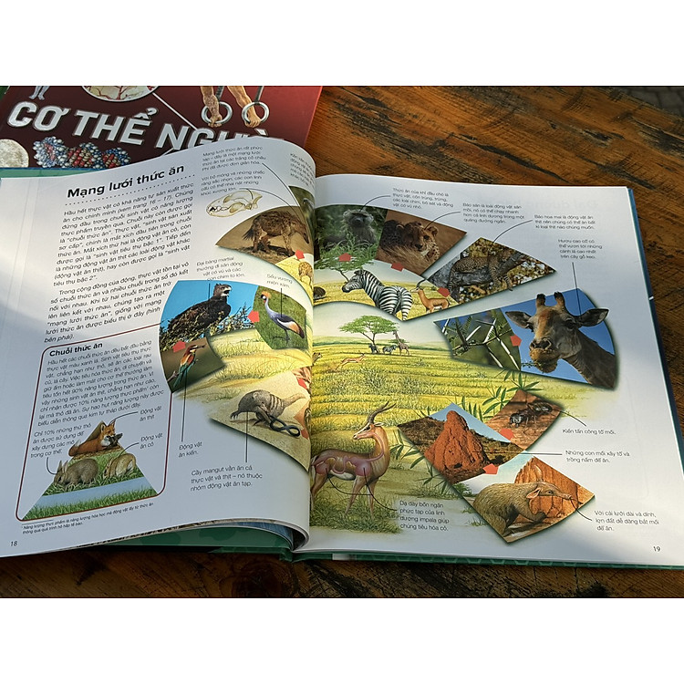 HÀNH TRÌNH KHÁM PHÁ – MÔI TRƯỜNG - Ảnh 2