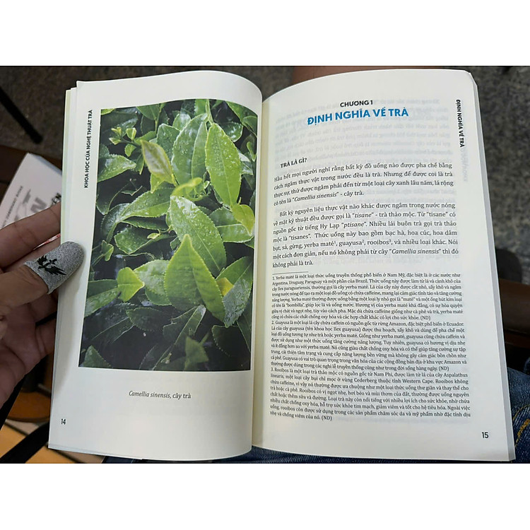 KHOA HỌC CỦA NGHỆ THUẬT TRÀ - Ảnh 3