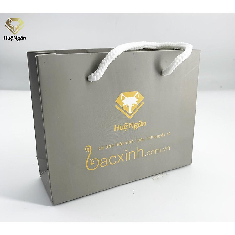 Túi Giấy Cứng Huệ Ngân TTSHN01 - Ảnh 5