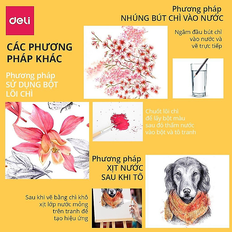 Bút Chì Màu Deli (24 màu) - Ảnh 4