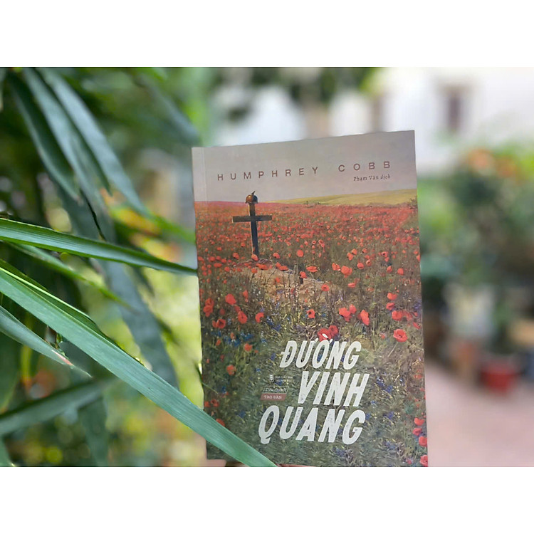 Đường Vinh Quang - Humphrey Cobb - Ảnh 4