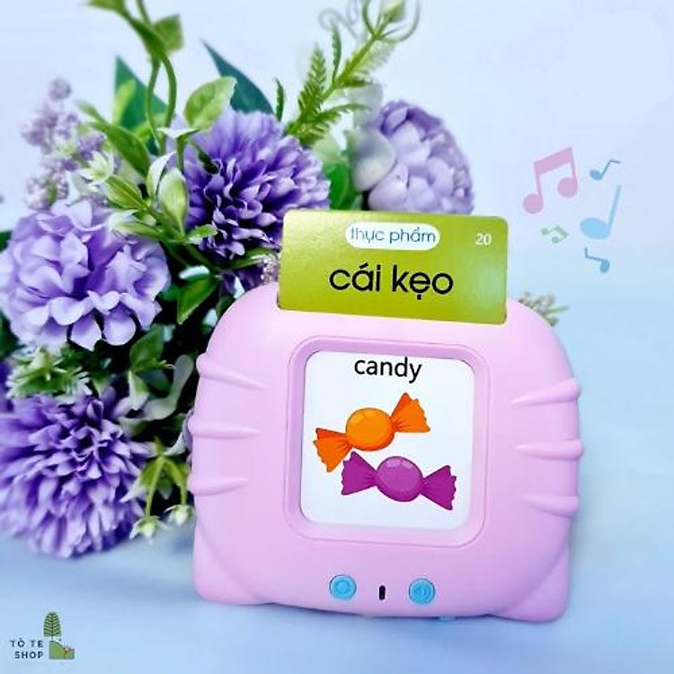 Máy đọc thẻ song ngữ Tuệ Minh Chính hãng Ưu đãi - Hình ảnh 3