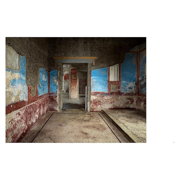 Inside Pompeii - Ảnh 5