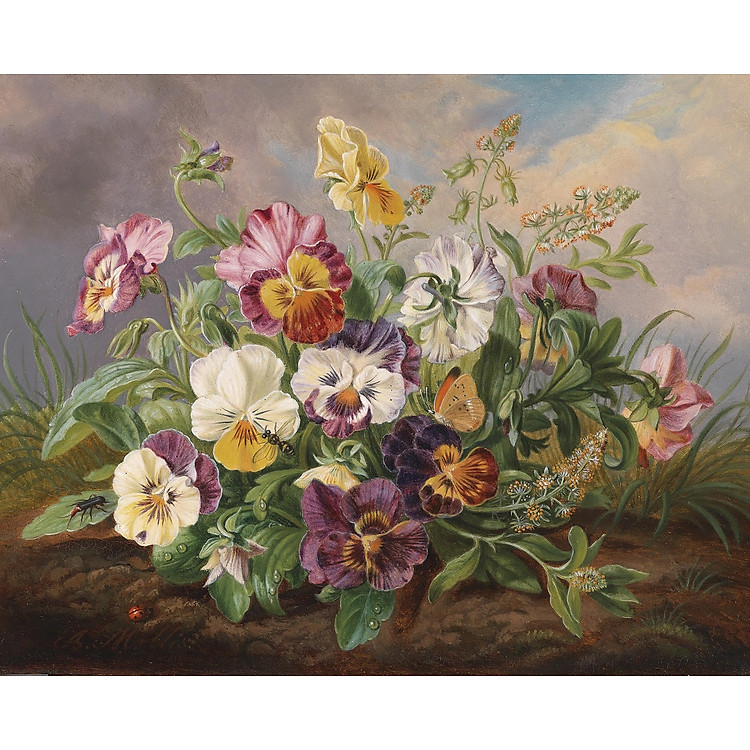 Bộ tranh xếp hình 500 mảnh - Hoa Pensée Chính hãng Giá tốt - Hình ảnh 2