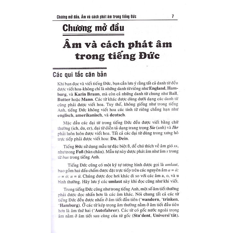 Tiếng Đức Dành Cho Người Việt - Ảnh 6