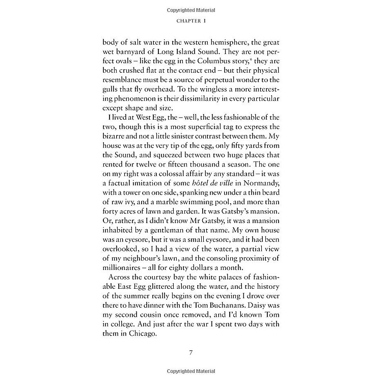 The Great Gatsby - Ảnh 6