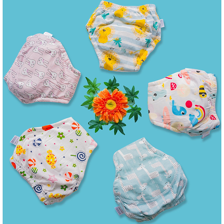 Combo 5 Quần Bỏ Bỉm Goodmama - Bé Trai Chính hãng Tiết kiệm - Hình ảnh 3