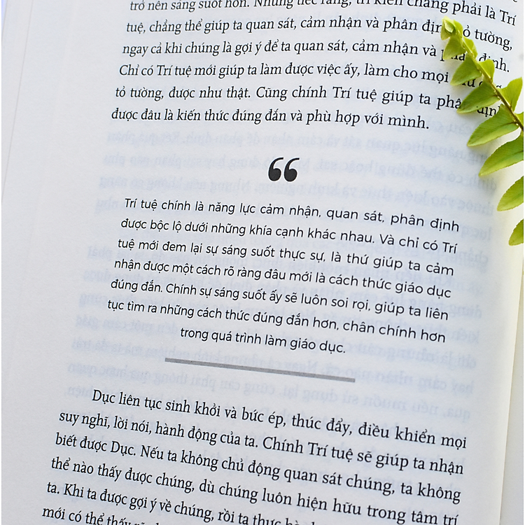 Tầm Nhìn Giáo Dục - Ảnh 7