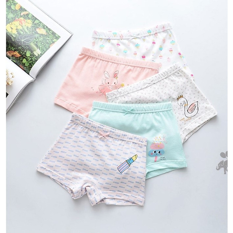 Set 5 quần quần lót đùi cho bé gái (hàng 100% coton ) hình cây son