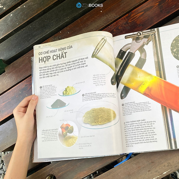 Bách Khoa Tự Nhiên - Ảnh 5