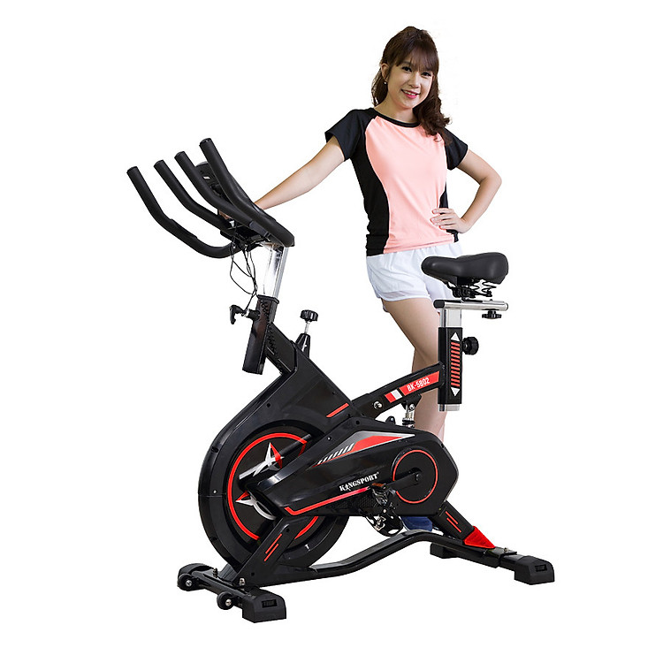 Xe đạp tập Kingsport BK-5802