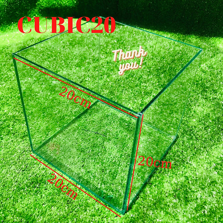 Bể cá mini Bể cá mini cubic