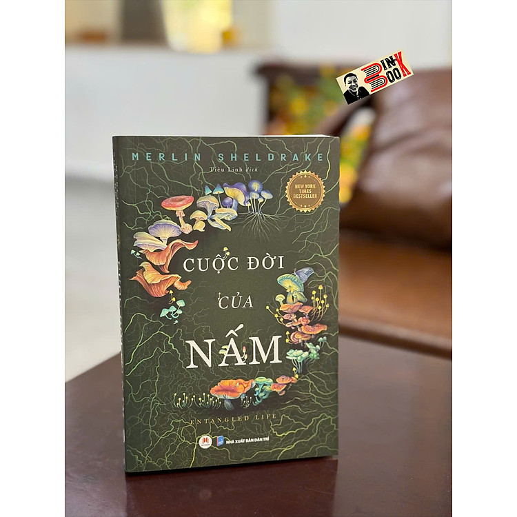 CUỘC ĐỜI CỦA NẤM – Merlin Sheldrake