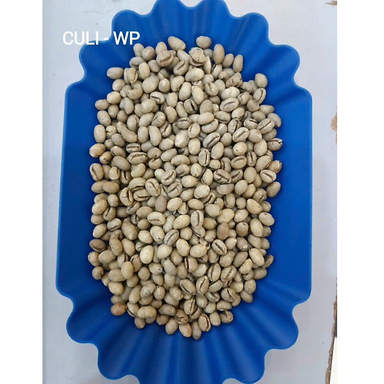 Cà phê nhân xanh CULI loại 1 B'Lao Farm peaberry cafe chưa rang sàng 18 đã được chà bóng băn màu sơ chế khô túi 1kg CX18
