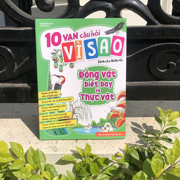 10 Vạn Câu Hỏi Vì Sao - Động Vật Biết Bay Và Thực Vật - Ảnh 3