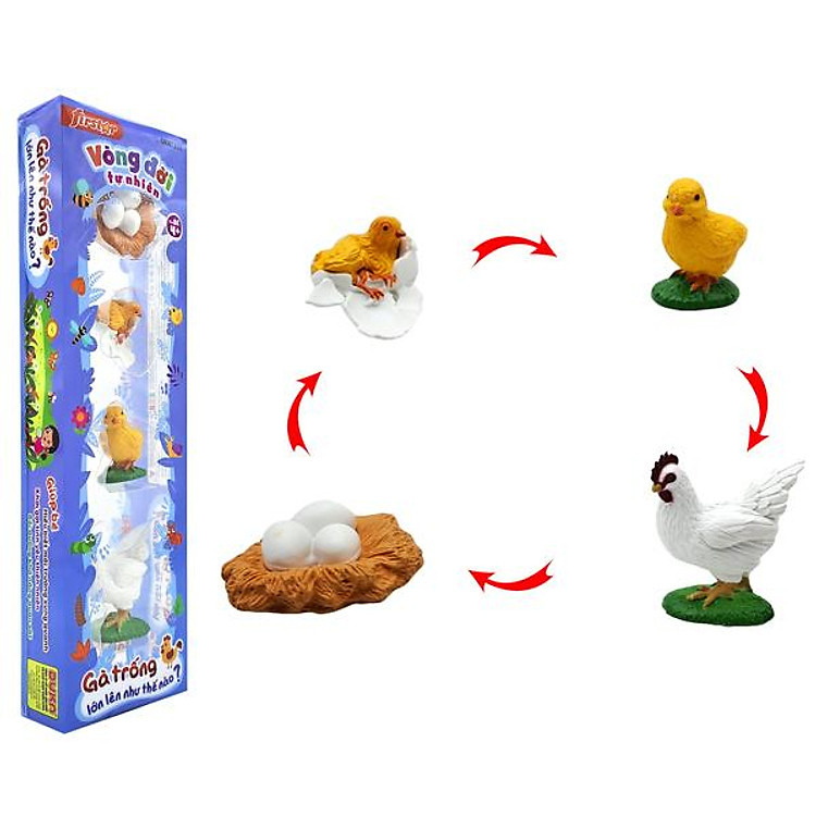 Mua Đồ Chơi Mô Hình Vòng Đời Gà Trống Chính hãng Giá rẻ - Hình ảnh 2