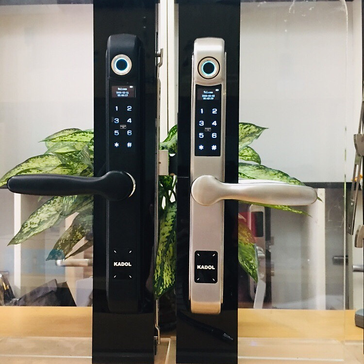 Khóa vân tay nhôm kính Kadol E8800