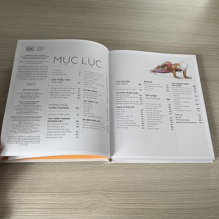 Khoa Học Về Chạy Bộ - Ảnh 4