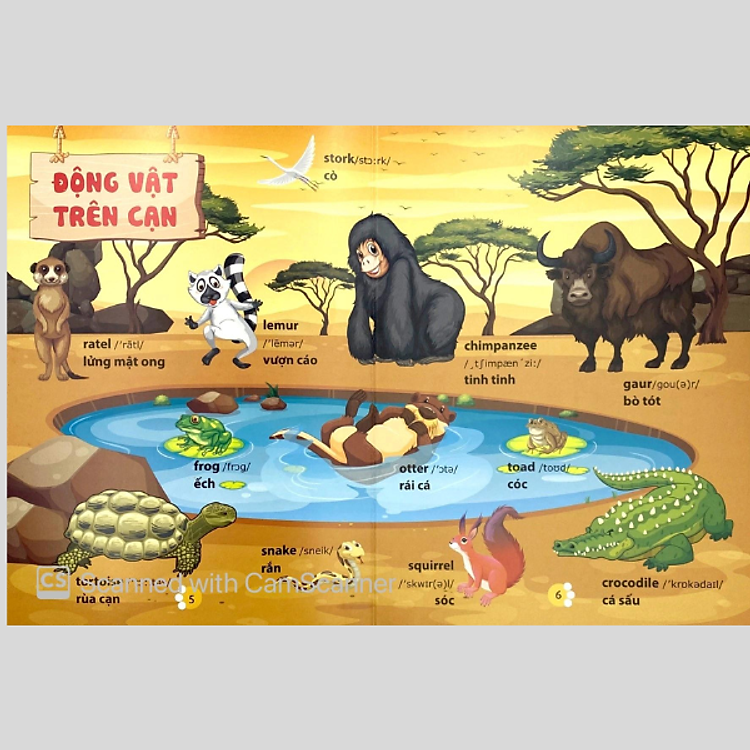 Từ Điển Phát Triển Ngôn Ngữ Bằng Hình Dành Cho Trẻ Mầm Non - Ảnh 4