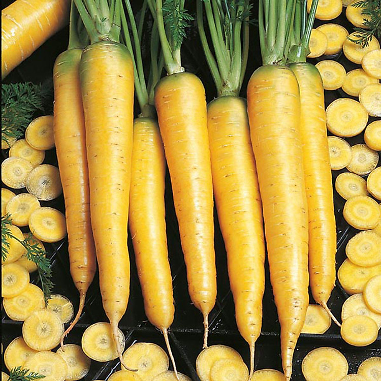 Hạt Giống Cà Rốt Vàng F1 (3 Gói )