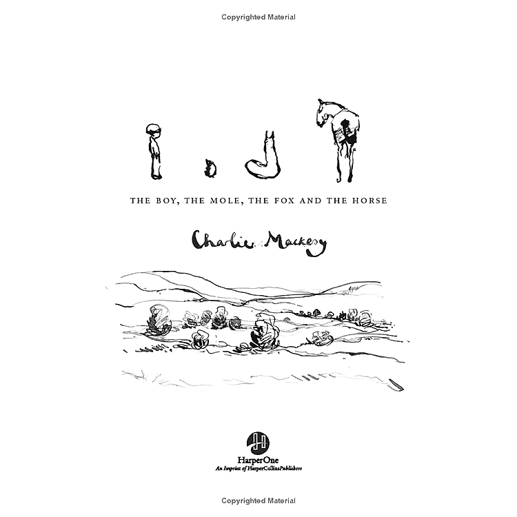 The Boy, The Mole, The Fox And The Horse - Ảnh 7