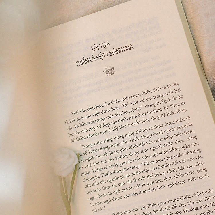 Một Tách Trà Thiền - Ảnh 5