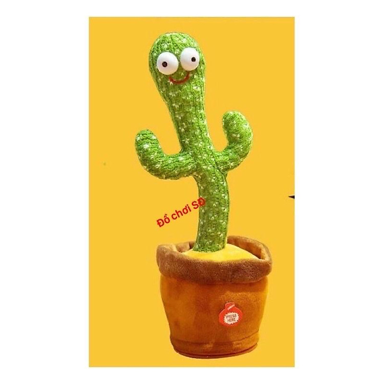 Chậu Xương Rồng Nói và Nhảy Múa Chính hãng Giá rẻ - Hình ảnh 4