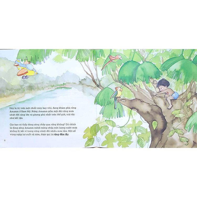 Bảo Vệ Những Cánh Rừng - Ảnh 5