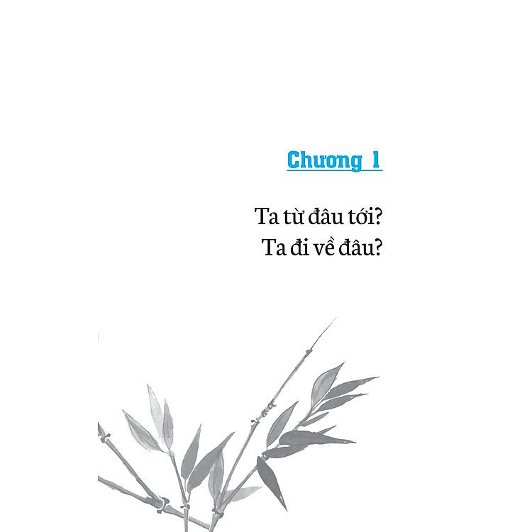 Không Diệt Không Sinh Đừng Sợ Hãi (TB 2023) - Ảnh 7