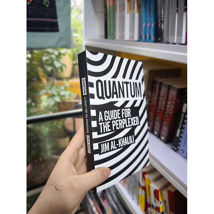 Quantum: A Guide For The Perplexed - Ảnh 4