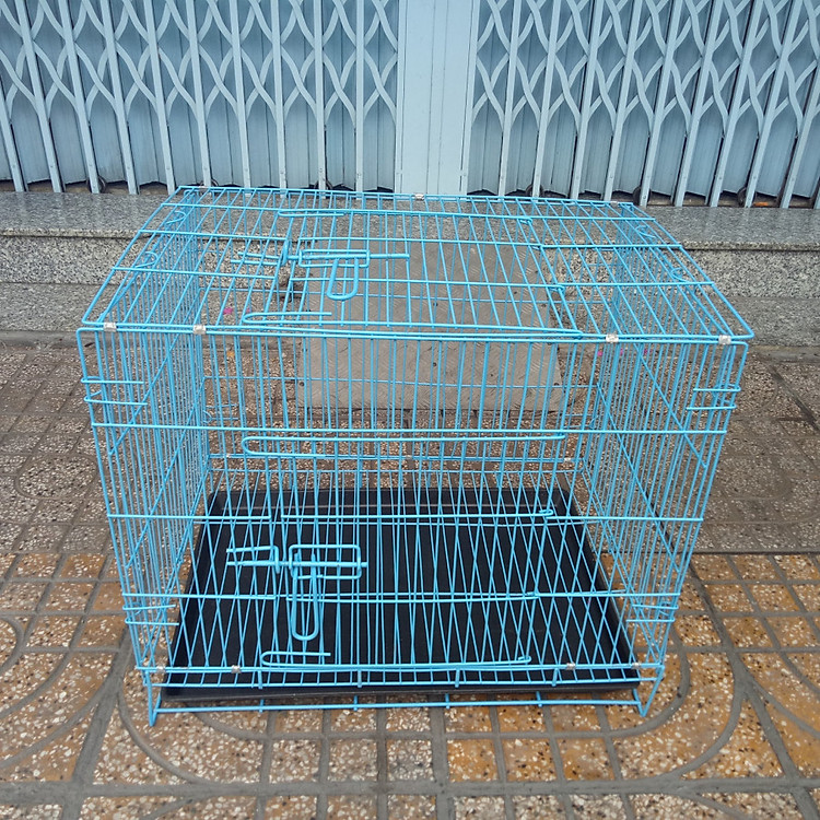 CHUỒNG LỒNG CHÓ MÈO SƠN TĨNH ĐIỆN 60x40x50