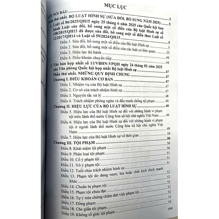 Bộ luật Hình sự, Bộ luật Tố tụng Hình sự (sửa đổi, bổ sung năm 2025) - Ảnh 2