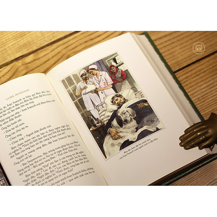 Con Bim Trắng Tai Đen - Ảnh 6